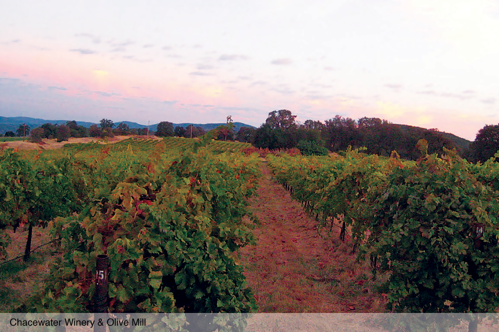 Chacewater Winery & Olive Mill