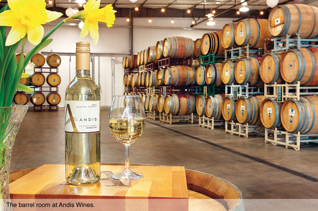 The barrel room at Andis Wines.