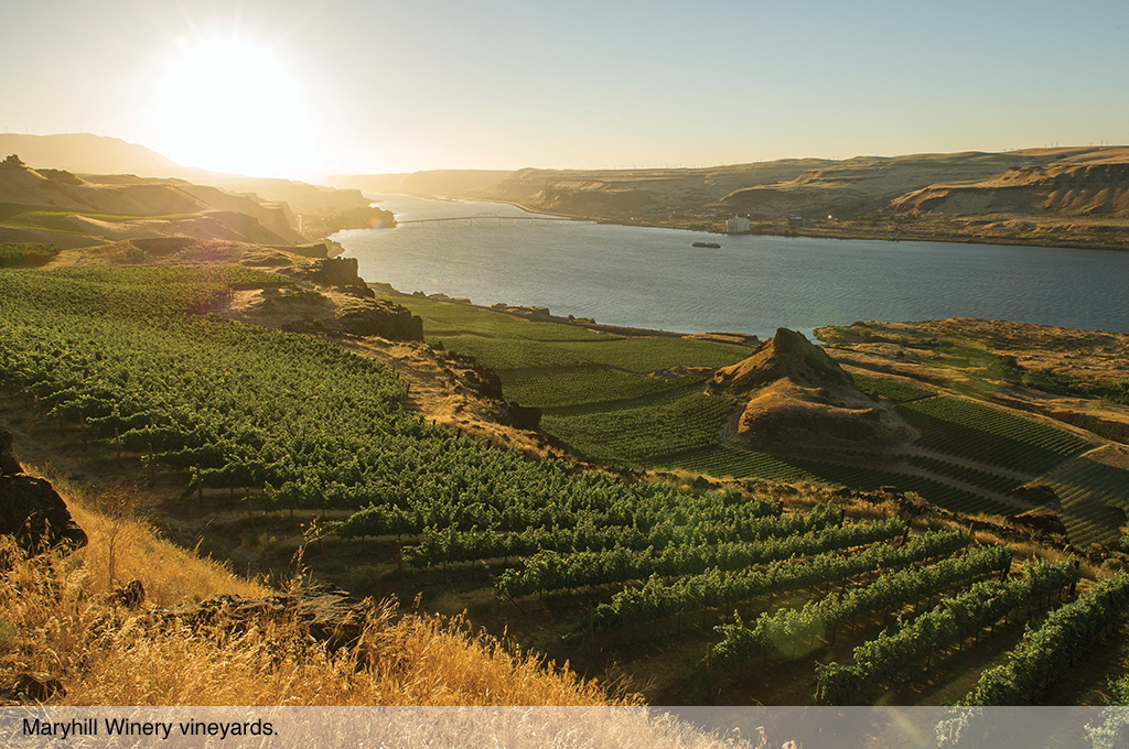 Maryhill Vineyards