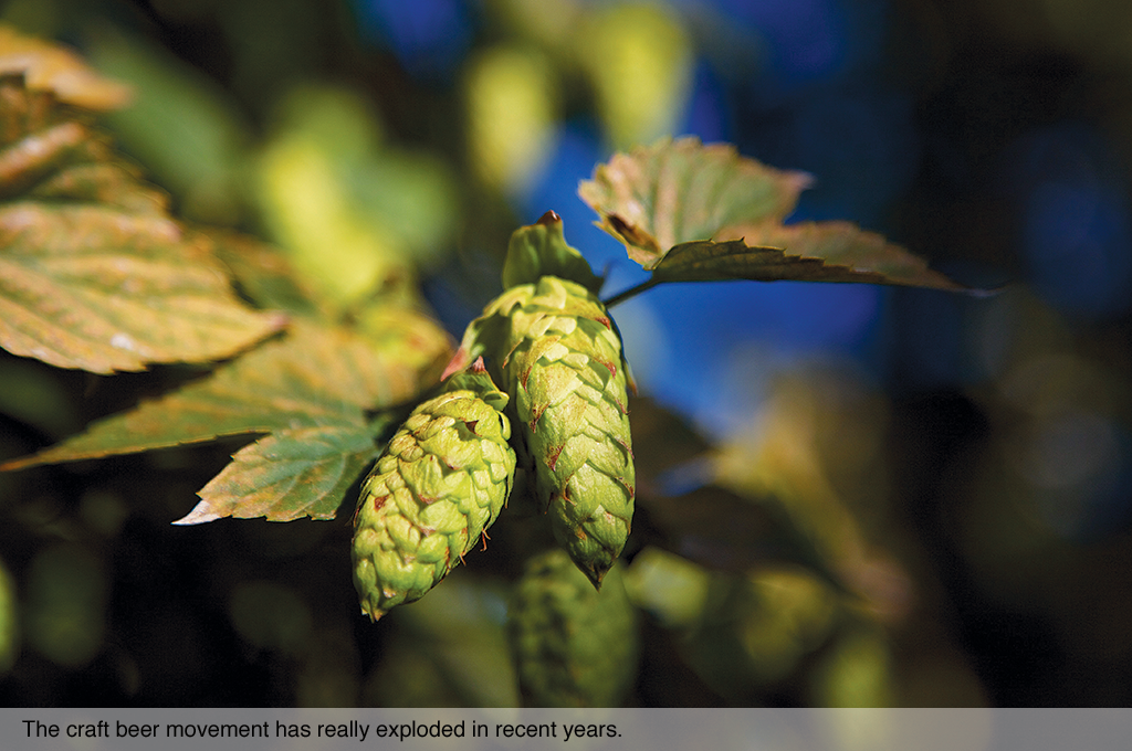 The craft beer movement has really exploded in recent years.