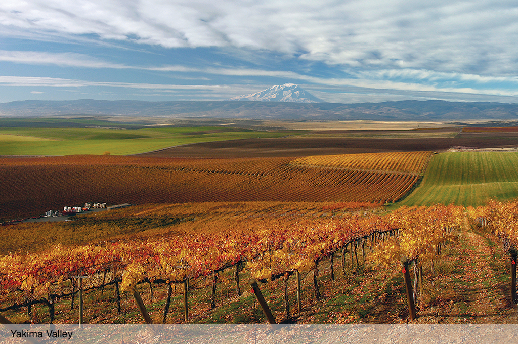 Yakima Valley